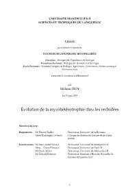1Volution De La Mycohщtщrotrophie Chez Les Orchidщes