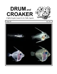 2017 Volume 48