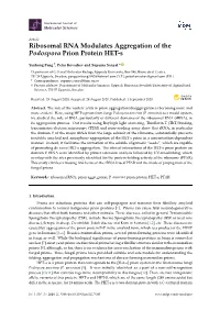 Ribosomal RNA Modulates Aggregation of the Podospora Prion Protein HET-S