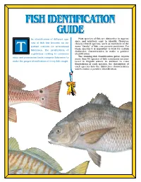 Fish Identification Guide Depicts More Than 50 Species of Fish Commonly Encoun- Make the Proper Identification of Every Fish Caught