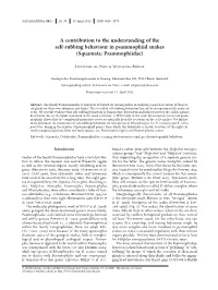 A Contribution to the Understanding of the Self-Rubbing Behaviour in Psammophiid Snakes (Squamata: Psammophiidae)