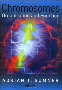 Chromosomes Organization and Function