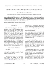 A Study on the Tissue Culture of Eucalyptus Urophylla X Eucalyptus Grandis