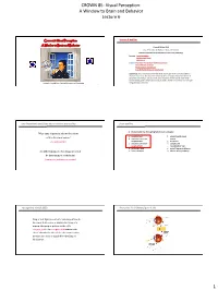 CROWN 85: Visual Perception: a Window to Brain and Behavior Lecture 6
