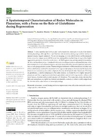 A Spatiotemporal Characterisation of Redox Molecules in Planarians, with a Focus on the Role of Glutathione During Regeneration