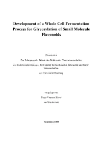 Development of a Whole Cell Fermentation Process for Glycosylation of Small Molecule Flavonoids