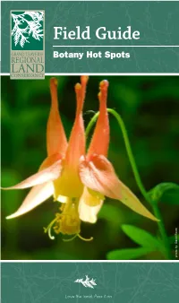 Field Guide Botany Hot Spots Photo By: David Foote INTRODUCTION