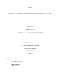 Mccann Thesis with Formatting