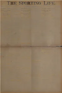 This Entire Document