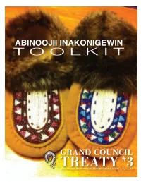 Abinoojii Inakonigewin Toolkit