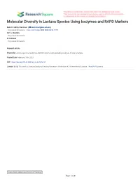 Molecular Diversity in Lactuca Species Using Isozymes and RAPD Markers