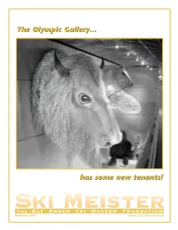Ski Meister Sum 03 V2