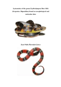 Systematics of the Genus Erythrolamprus Boie 1826 (Serpentes: Dipsadidae) Based on Morphological and Molecular Data
