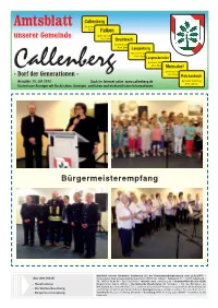 Amtsblatt Unserer Gemeinde Callenberg – 13