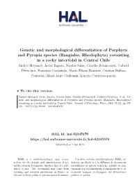 Genetic and Morphological Differentiation of Porphyra And