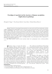 Paradigm of Aqueducts in the Structure of Human Encephalon. Implications in Pathology
