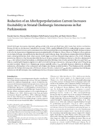 Reduction of an Afterhyperpolarization Current Increases Excitability in Striatal Cholinergic Interneurons in Rat Parkinsonism