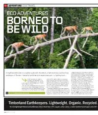 Eco Advent Ures Borneo to Be W Il D
