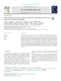 Hematological and Immune Changes in Piaractus Mesopotamicus in the Sepsis Induced by Aeromonas Hydrophila T