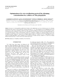 Optimization of in Vitro Sterilization Protocol for Obtaining Contamination-Free Cultures of Tilia Platyphyllos