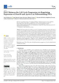PAX7 Balances the Cell Cycle Progression Via Regulating Expression of Dnmt3b and Apobec2 in Differentiating Pscs