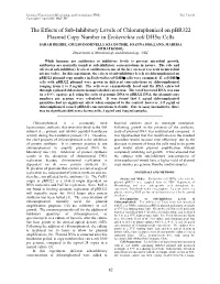 The Effects of Sub-Inhibitory Levels of Chloramphenicol on Pbr322