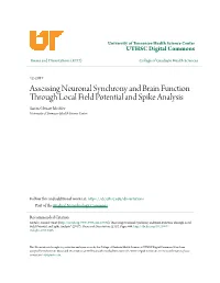 Assessing Neuronal Synchrony and Brain Function Through Local Field Potential and Spike Analysis Samuel Stuart Mcafee University of Tennessee Health Science Center