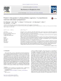 2016 Zaffagnini Trost BBA.Pdf