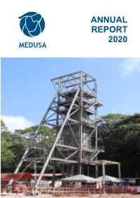Annual Report 2020 Contents