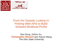 Probing Web Apis to Build Detailed Workload Profile