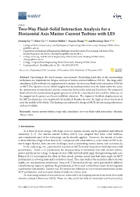 Two-Way Fluid–Solid Interaction Analysis for a Horizontal Axis Marine Current Turbine with LES