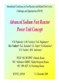 Advanced Sodium Fast Reactor Power Unit Concept