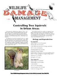 Controlling Tree Squirrels in Urban Areas