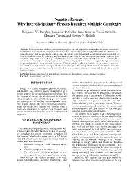 Negative Energy: Why Interdisciplinary Physics Requires Multiple Ontologies