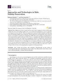 Approaches and Technologies in Male Fertility Preservation