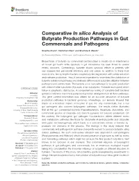 Comparative in Silico Analysis of Butyrate Production Pathways in Gut Commensals and Pathogens