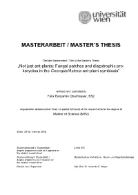 Masterarbeit / Master's Thesis