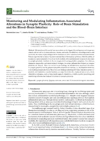 Role of Brain Stimulation and the Blood–Brain Interface