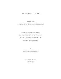 A Theology of Place and Displacement a Dissertation Submitted to the Faculty of the Divin