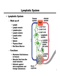 Lymphatic System