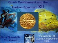 Nora Brambilla Quark Confinement and the Hadron Spectrum