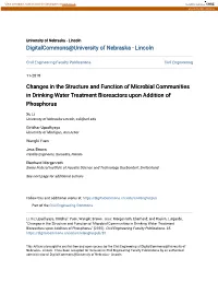 Changes in the Structure and Function of Microbial Communities in Drinking Water Treatment Bioreactors Upon Addition of Phosphorus
