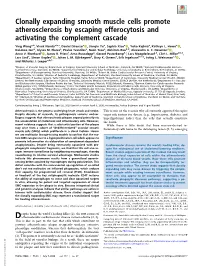 Clonally Expanding Smooth Muscle Cells Promote Atherosclerosis by Escaping Efferocytosis and Activating the Complement Cascade