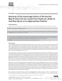 Anatomy of the Intertragic Notch of the Auricle May Protect the Ear Canal from Fluids As a Built-In Overflow Spout at an Appropriate Position