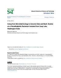 Going from Microbial Ecology to Genome Data and Back: Studies on a Haloalkaliphilic Bacterium Isolated from Soap Lake, Washington State