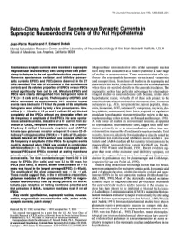 Patch-Clamp Analysis of Spontaneous Synaptic Currents in Supraoptic Neuroendocrine Cells of the Rat Hypothalamus