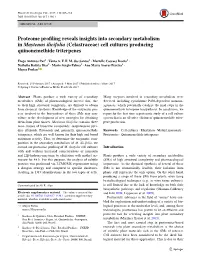 Proteome Profiling Reveals Insights Into Secondary Metabolism in Maytenus Ilicifolia (Celastraceae) Cell Cultures Producing Quinonemethide Triterpenes