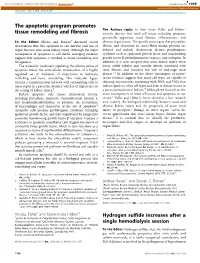 The Apoptotic Program Promotes Tissue Remodeling and Fibrosis