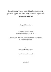 Ephemeroptera): Genomics Approaches to the Study of Ancient Origins and Recent Diversification