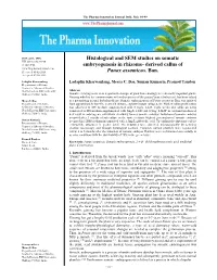 Histological and SEM Studies on Somatic Embryogenesis in Rhizome